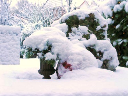 1. schnee winter 2005